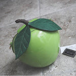 Apple Shape Shoulder Bag